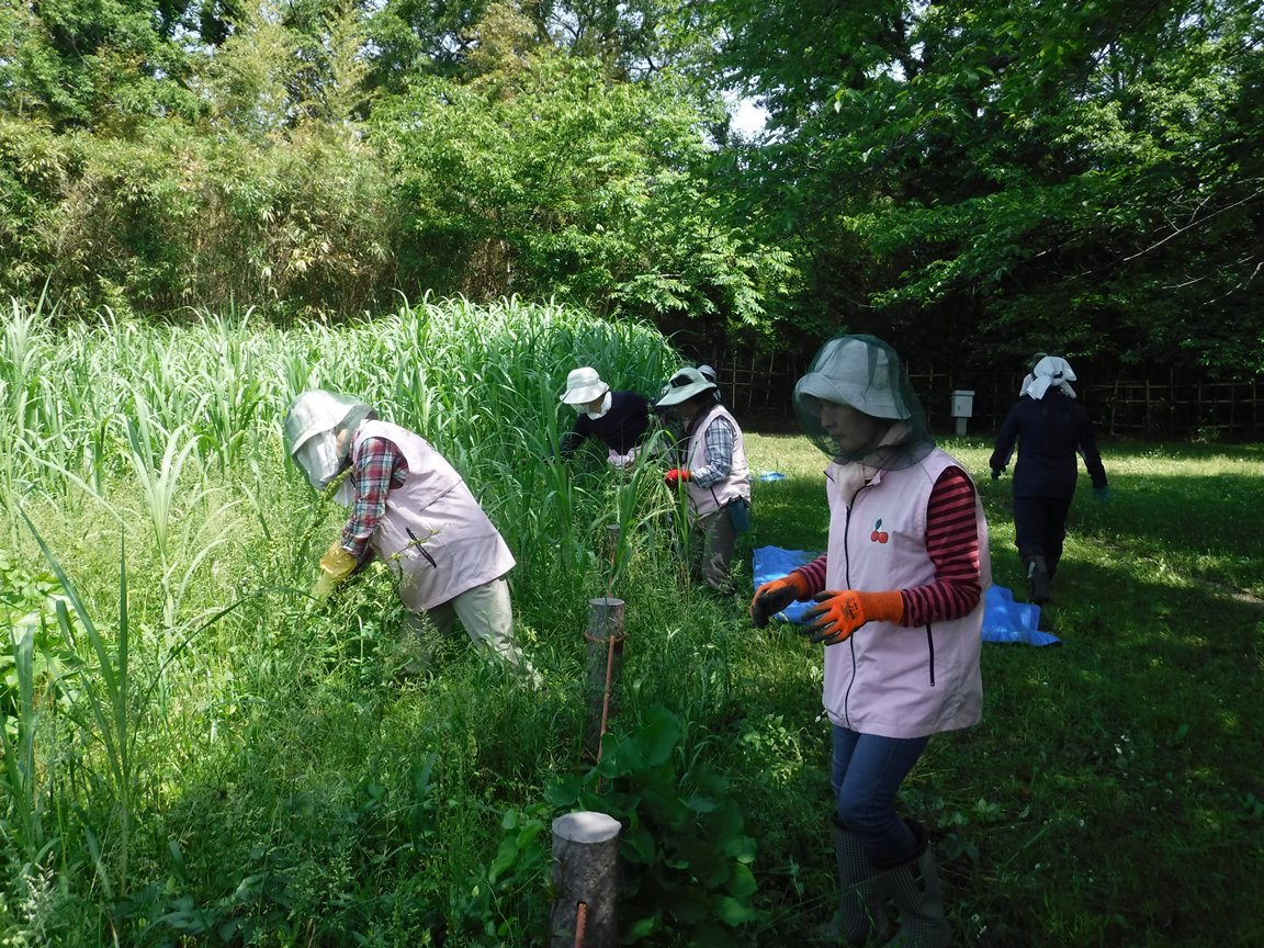 5月管理作業の写真