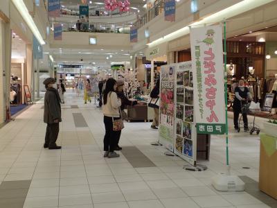 さくらそう展示会来場者の写真