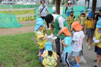 太陽の子新曽北保育園4