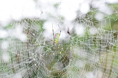 空が泣き出したら