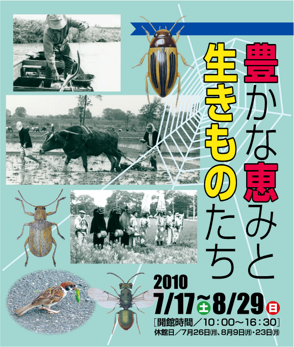 「豊かな恵みと生きものたち」のチラシ