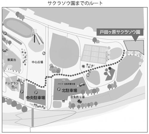 サクラソウ園の地図