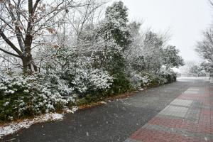 雪景色の画像