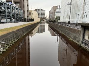 上戸田川が茶色に変色した写真