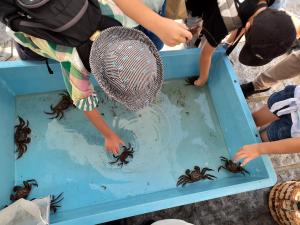 笹目川水族館の魚の写真