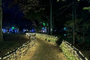 後谷公園のイルミネーションの様子の写真