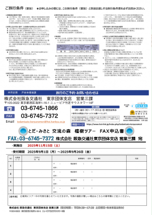 チラシ（裏面）