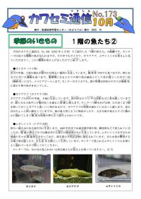 カワセミ通信2025年10月号1ページ