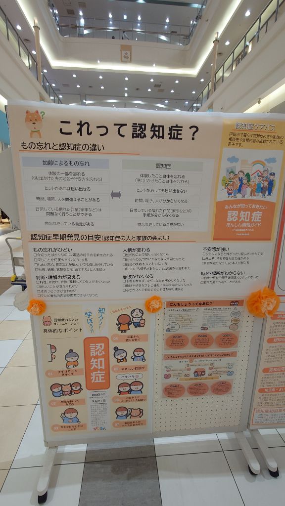 イオン6