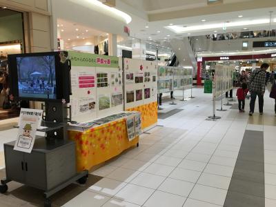 イオン写真展