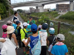 夏のイベントの自然観察の写真