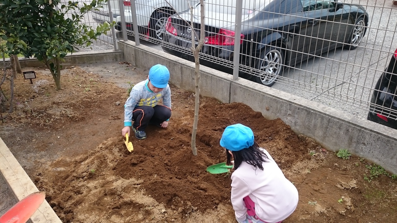 子ども達の活動写真