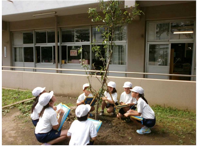 新曽小学校子供たちが観察する写真