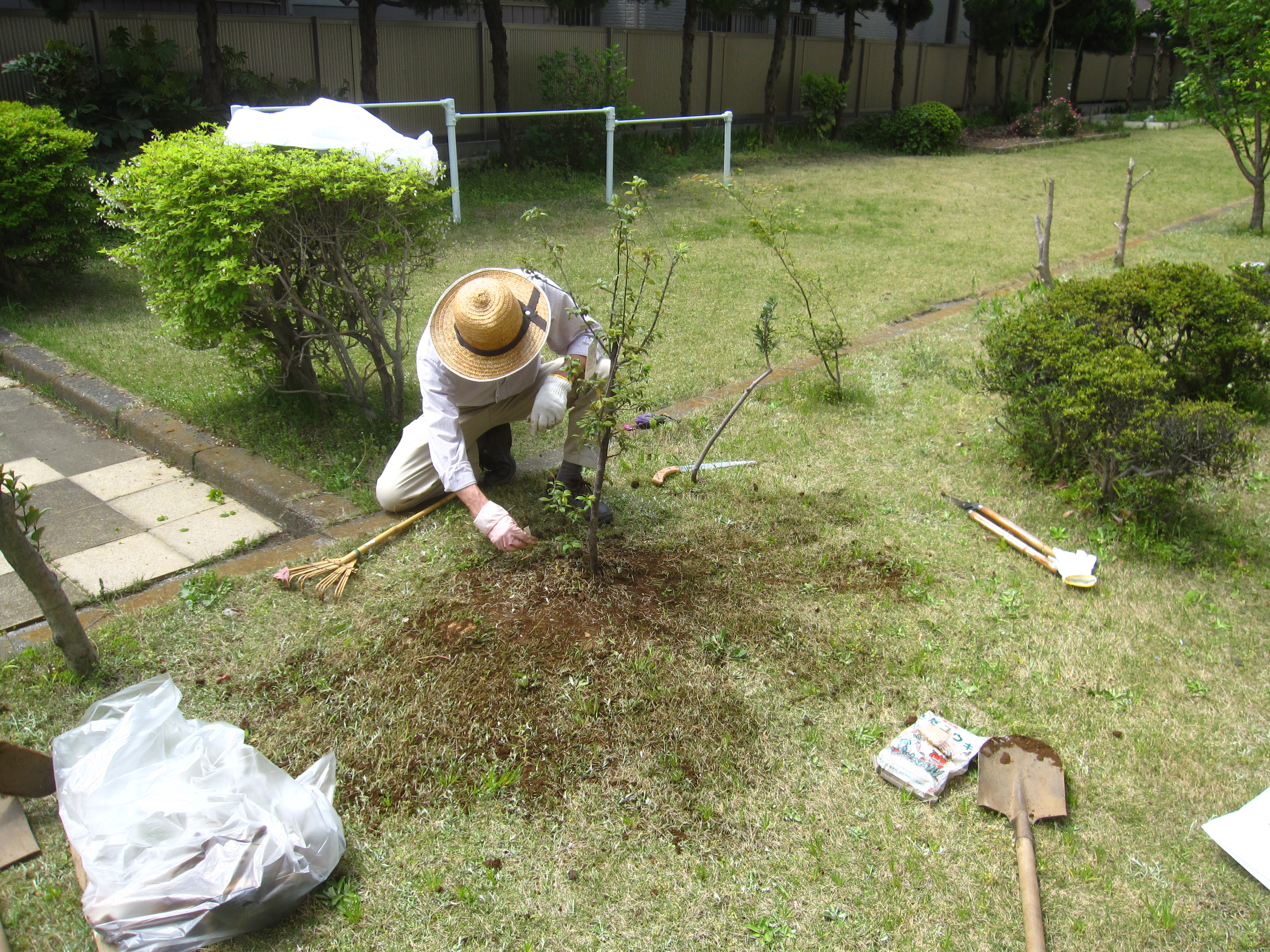 南町住宅梅の植樹写真